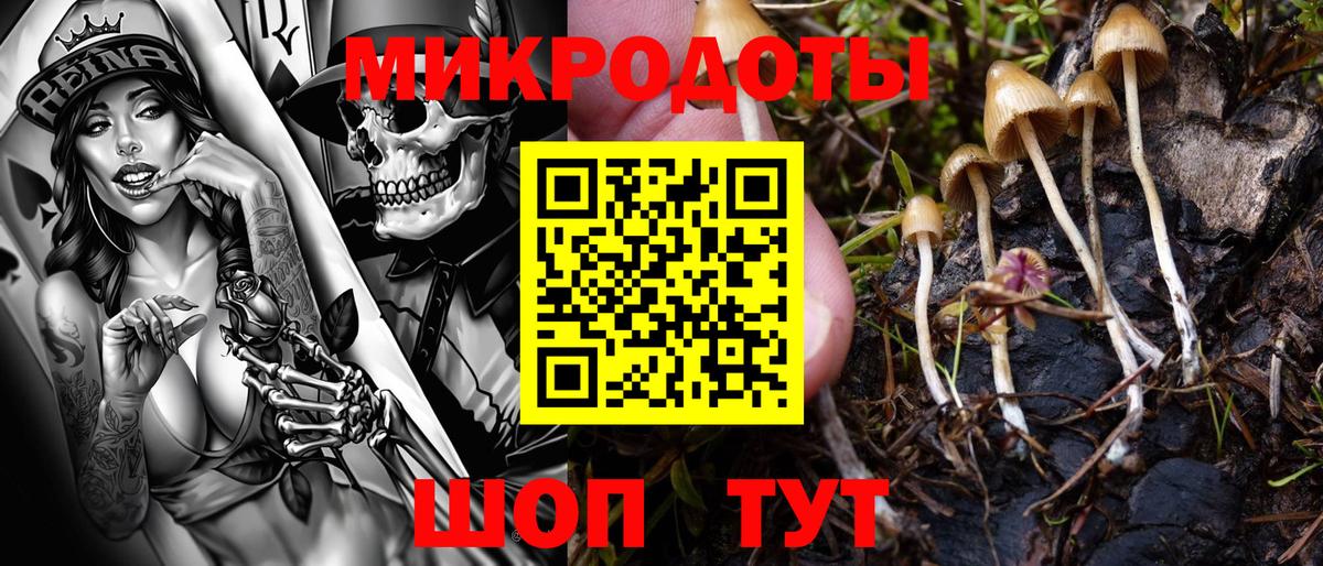 хочу   Галлюциногенные грибы Psilocybine cubensis  Надым  Вход с VPN  Галлюциногенные грибы мицелий 